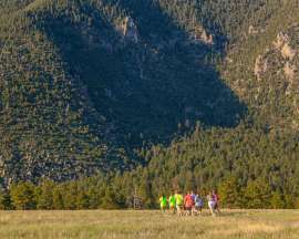 Group of people running on a trail in Buffalo Park Flagstaff Arizona
